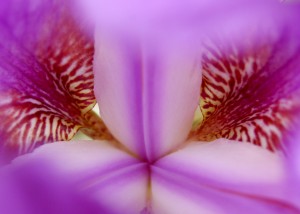 Abs 09_00008
